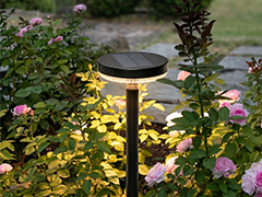 Lampade solari Lampade solari